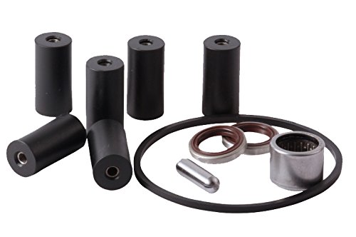 Amazon.com : Delavan RollerPRO 6 Roller Pump Repair Kit : Patio